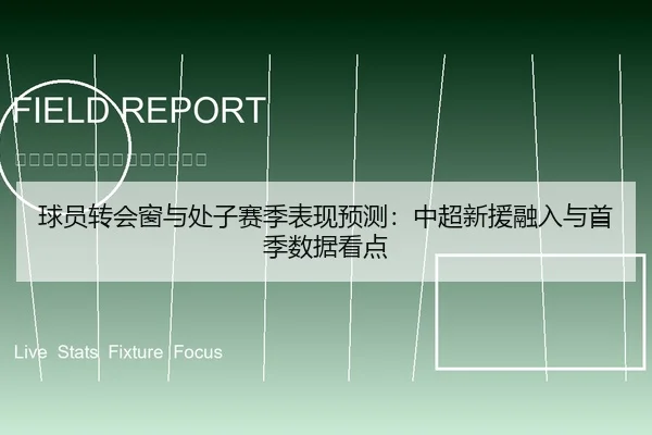 球员转会窗与处子赛季表现预测：中超新援融入与首季数据看点